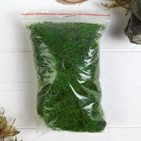 The moss stabilized "light green" 45 gr (+-5 gr).-2