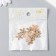 Decor for creativity metal, rhinestones "chamomile" set 10 pcs gold 1.5x1.5 cm