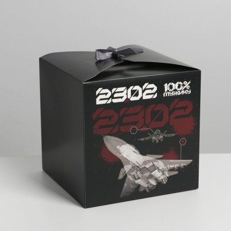 Gift folding box, packaging, “23.02, plane”, 18 x 18 x 18 cm