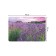 A set of napkins for setting the lavender in color, rectangular, rounded edges, size 30x46 cm, 4 pcs