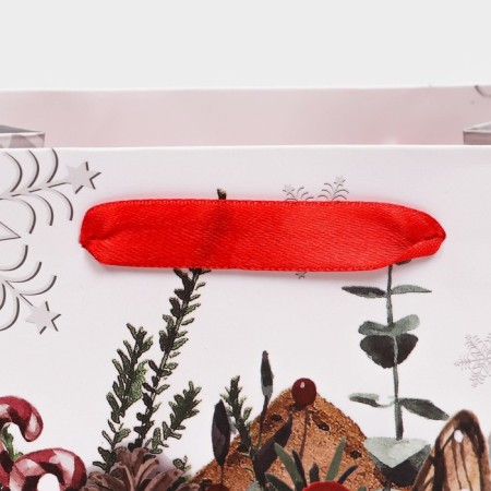 Gift, laminated package, "letter with gifts", 18 x 23 x 10 cm-3