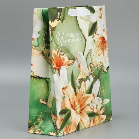 Package Gift Laminated Horizontal, Packaging, “Best Teacher”, M 30 x 26 x 9 cm-1