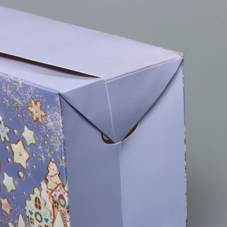 The package of the "delicious New Year", 23 x 18 x 11 cm, New Year-4
