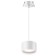 Introduced lamp LED IP20 12W down + 3W up, wire 2 m