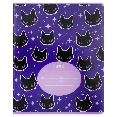 Notebook of 12 sheets in a cage on a clip "Magic Dolls", cover shaking cardboard, VD-LK, MIX-4