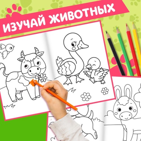 Coloring for babies Set "Animals", with pencils of 6 colors, 2 pcs. 16 p.-3