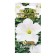 Flowers of petunias large -flowered "Snow Ball", 0, 1 g