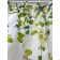 Joy Home Bath curtains, 180x180 cm