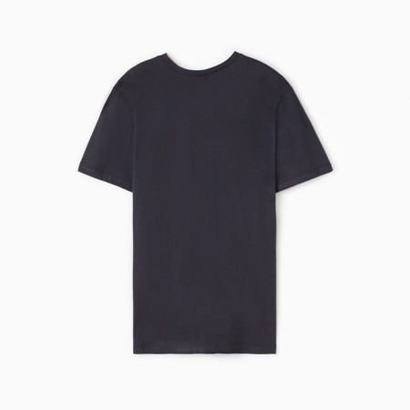 Male T-shirt Collorista, density 145g/m2, gray color, size 42-44-3