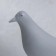 Souvenir Polystone "Bird - Long legs" gray 22x15 cm