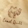 Economy camel wool 140x205 cm, polyester fiber, 200g/m2, PE 100%