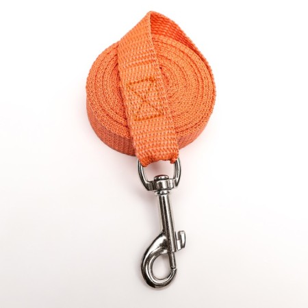Leash of kapron -colored zoonik, 3 m x 2 cm, mix of flowers-1