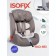 Car seat children's Farfello, group 1/2/3 (9-36 kg), ISOFIX system, coffee color color