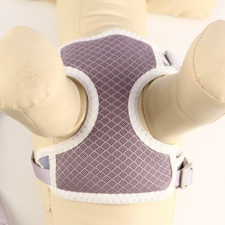 A set of ammunition with a soft harness, m, leash 120 x 1.5 cm, Osh 26-48 cm, OG 26-48 cm, gray.-4