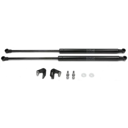 Copes of the hood Auto unorusor for Skoda Rapid I 2012-2017 2017-n., 2 pcs., USKRAP012