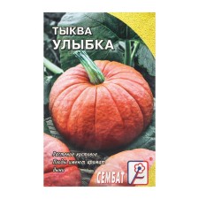 Seeds of pumpkin 
