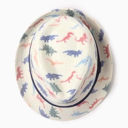 Hat for boys "dinosaurics" Minaku, rr 52-54, col. lactic-1