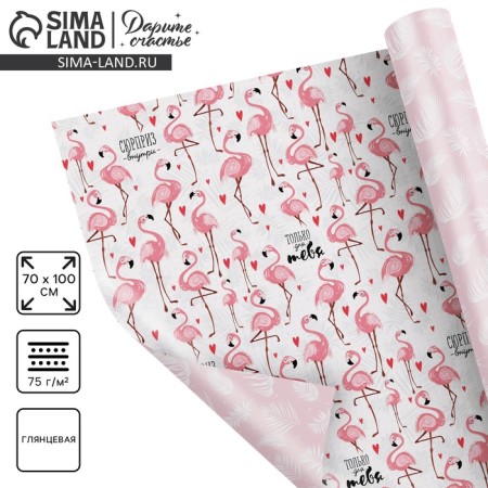 Paper Glossy double -sided "Flamingo", 70 x 100 cm