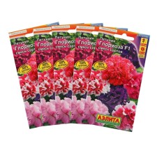 Gloriosis Petunia F1 is large -flowered terry, set 5 pcs