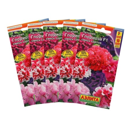 Gloriosis Petunia F1 is large -flowered terry, set 5 pcs