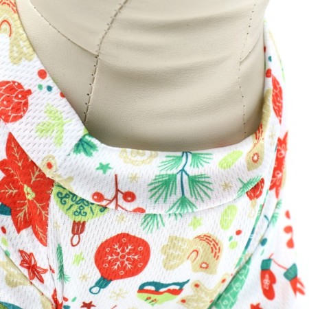 Folder for animals "New Year's carousel", size S-3