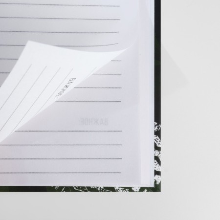 Gift set: A5 diary, 80 sheets and planning, 50 l. "Strong spirit"-4
