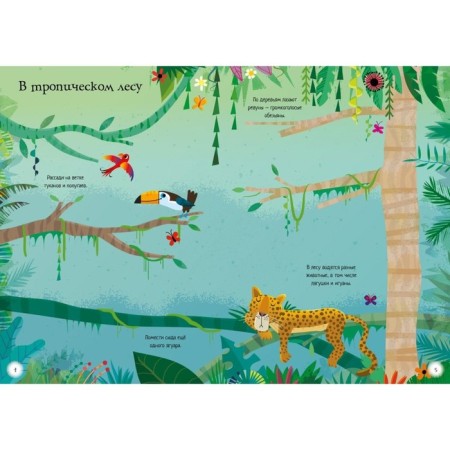 Animals-2
