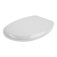The toilet seat 