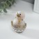 Polystone souvenir "Chicken in a shell" 5x4.5x6.5 cm