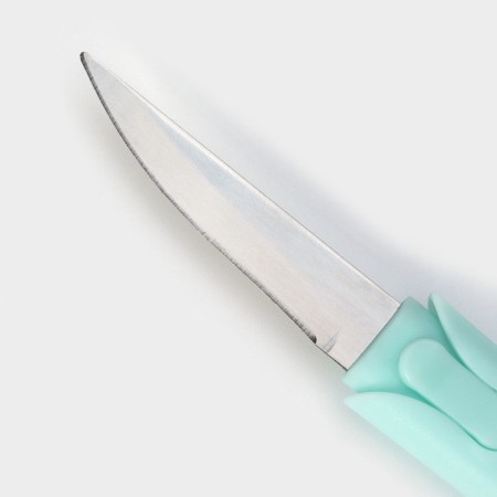 Apollo knife-impregnation, blade 6.5 cm-6