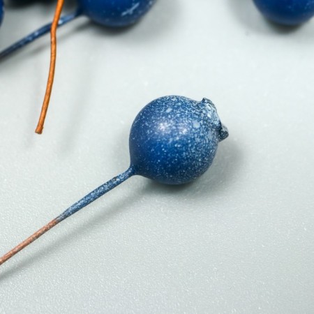 Decor for creativity "Berry - Blue" Blue 7x1 cm-1