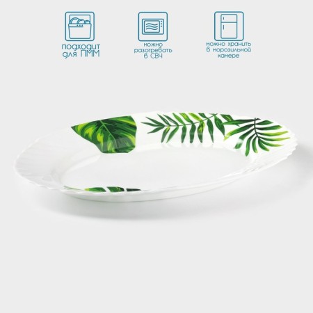 Serving shares "Fern sheet", oval, 30 × 22 cm, glass ceramic, white color-1