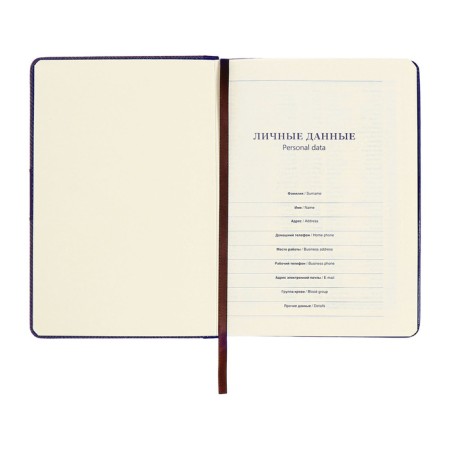 Organizer, A5, 128 sheets, a cage, the cover of the leatherette, with a knife, "patterns", blue-6