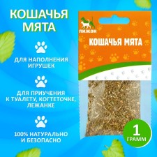 Cat mint 