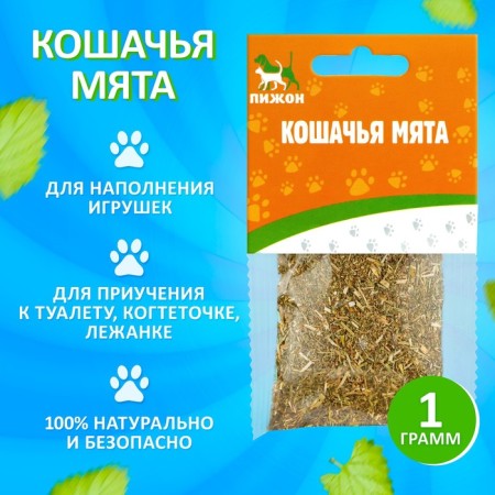 Cat mint "Pijon", 1 g