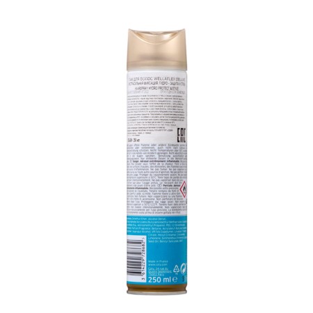 Wellaflex Deluxe Hydro Protect & Style Protection and Style, 250 ml-1