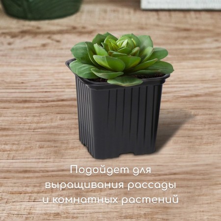Pot for seedlings, 210 ml, d = 7 cm, h = 6.5 cm, black, in the set 5 pcs., Greengo-2