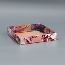 Box of the team with PVC lid, 