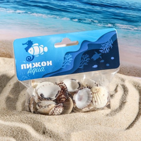 Set of shells, 2.5 - 4 cm, 100 g-3