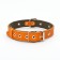 Combined dimensionless collar, leather/tarpaulin, 60 x 3 cm, Osh 30-57 cm, red/green