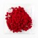 Decorative braid with pompons, 25 ± 5 mm, 9.1 ± 0.5 m, red color