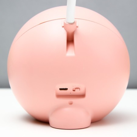Board lamp with a nightmare "Princess" LED 3000K-6000K 5W USB AKB pink 14x14x44cm Risalux 9413-11