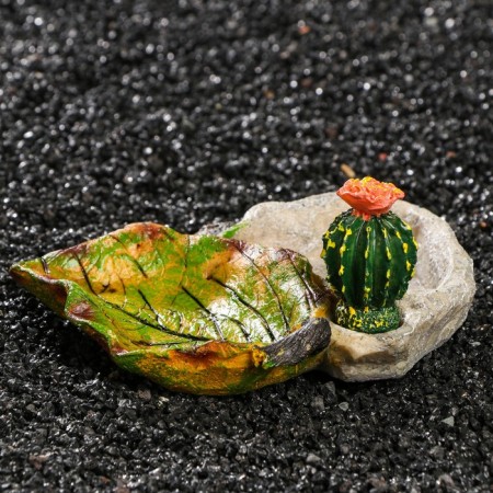Terrarium feeder, 14.5 x 13 x 7 cm-2