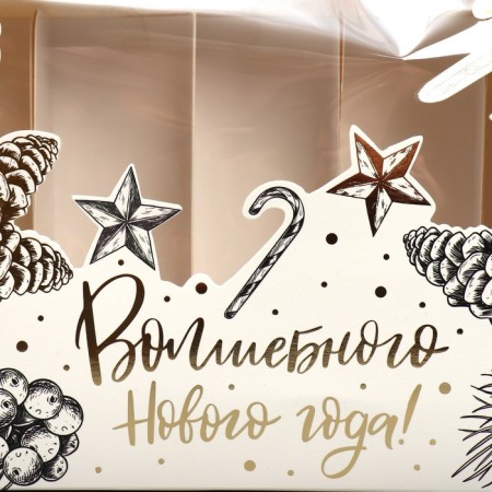Box for eclaires with liners of the “Magic New Year!”, 25.2 x 15 x 7 cm, New Year-2