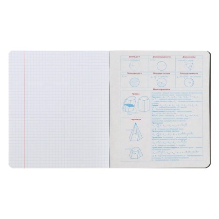 Subject notebook monocolor.element, 48 sheets in the “geometry” cage, covered cardboard, lamination of software touch, selective varnish, offset block 70 g/m2-4