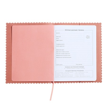 Universal Grade 1-11 Diary, 48 sheets "hare ears", soft cover of artificial leather, applique, foil embossing, figured cutting, universal cheat sheet, lies, block 80 g/m2-4