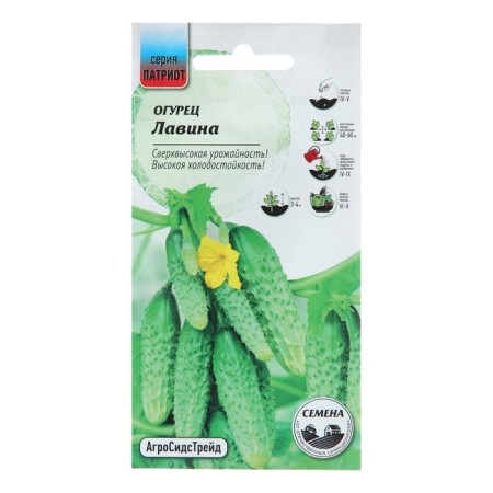 Cucumber seeds "avalanche", 8 pcs