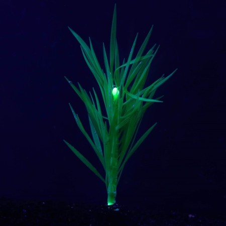 Silicone aquarium plant, luminous in the dark, 7 x 12.5 cm, green-1