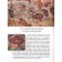 Animals from wild to home