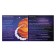 Board Economic Game "Mars New Life", 139 cards, 60 bills, 7+